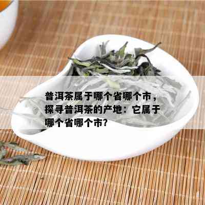 普洱茶的产地及其特点：哪个省份是普洱茶的主要生产地？