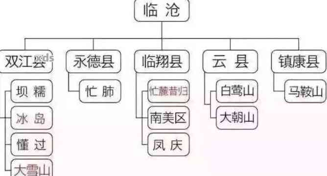 普洱茶的产地及其特点：哪个省份是普洱茶的主要生产地？