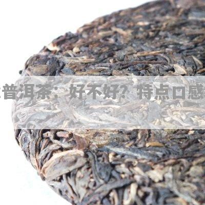 班章普洱茶口感特点与含义