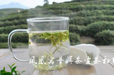 凤凰窝普洱茶：源自沙啦滩的秘境之味