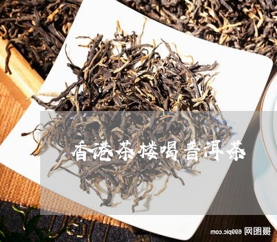 普洱茶的发掘地在哪里？探寻普洱茶之的故事。