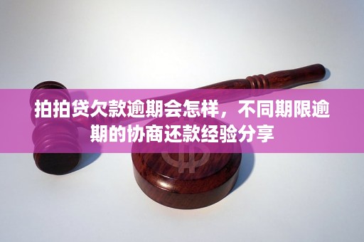 上海逾期还款后果与解决方案全面解析，用户必看！