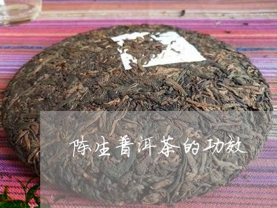 陈生记普洱茶的推荐