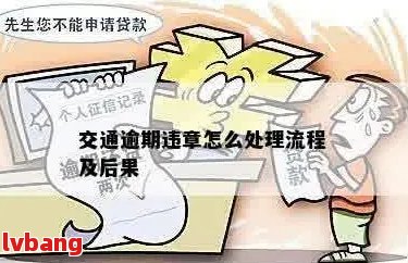 '0申报逾期处理流程及影响：如何应对、罚款与处罚标准'