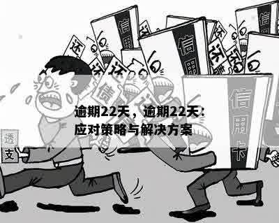 如何分析逾期次数并制定相应策略