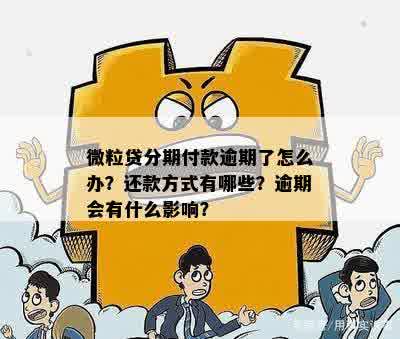 微粒贷逾期无力还款，如何选择分期付款方案避免支付高额利息？