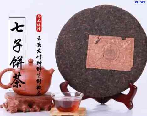 云南特色传统糕点：七子饼茶黄标，古法制作，原滋原味，一口回