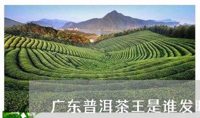 广东人发明了普洱茶