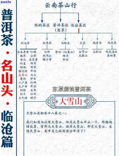 普洱茶大雪山：独特特点、珍贵价值与产区分布