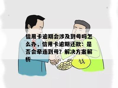 逾期还款：是否应寻求母援助？探讨母角色在解决经济问题中的重要性