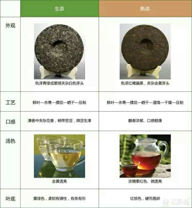 探索小罐普洱茶：熟茶与生茶的鉴别方法及其特点对比