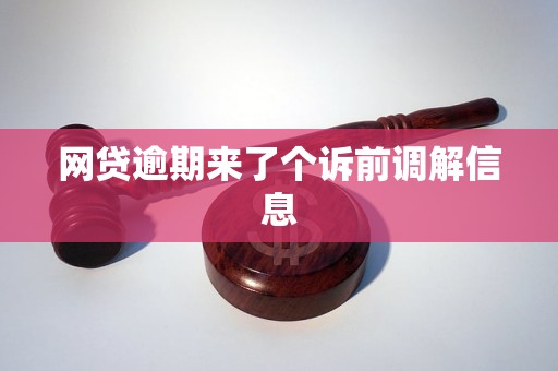 诉前调解：解决网贷逾期问题的有效途径