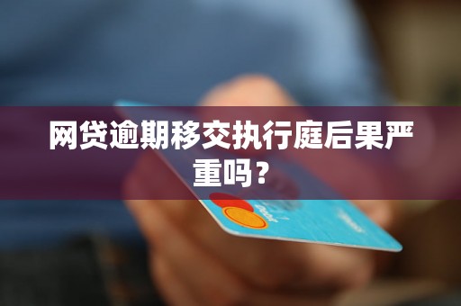 网贷逾期二三十个怎么办，后果严重吗？