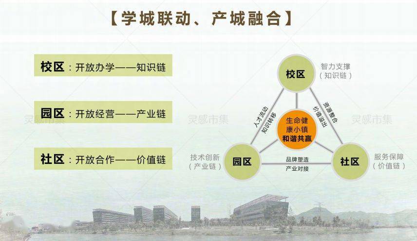 普洱茶小镇     问题：原因分析、影响范围及可能的解决方案