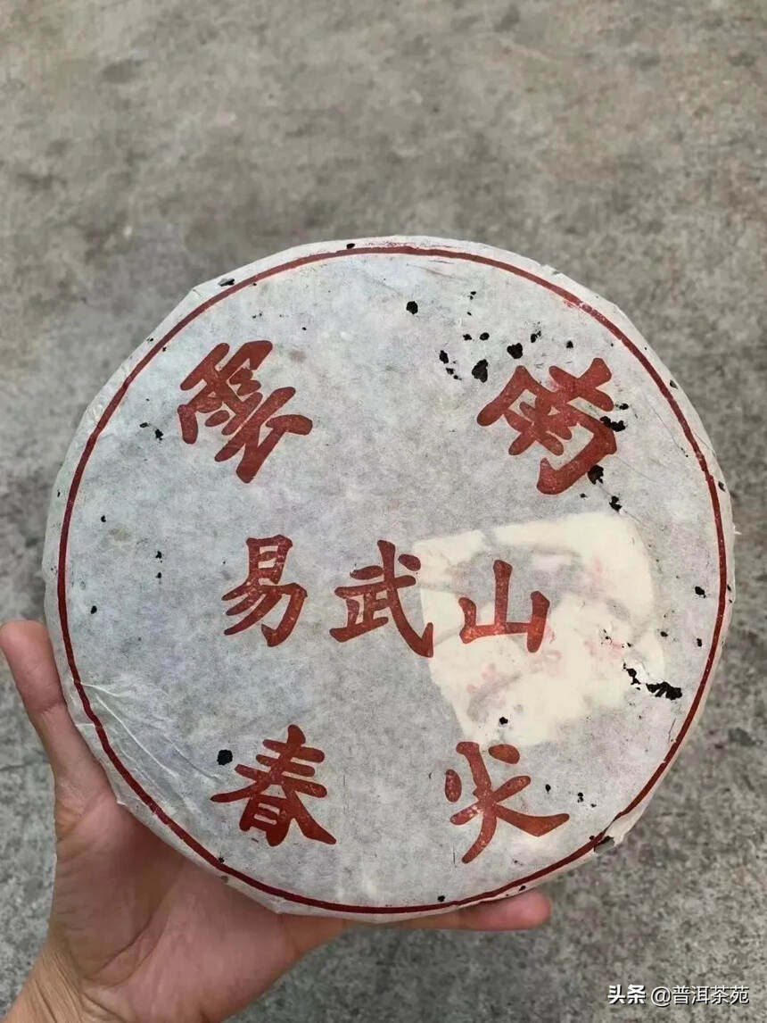 03易武春尖普洱茶