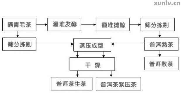 普洱茶转化两个路径是什么原理？