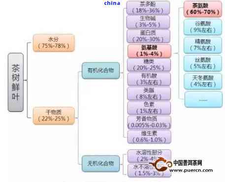 普洱茶转化两个路径是什么原理？