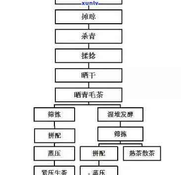 普洱茶的转化过程：从原料到成品，您需要了解的一切