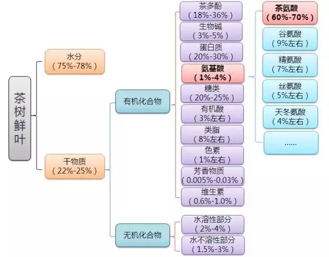 普洱茶转化的关键因素：条件与意义