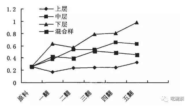 普洱茶转化的全面解释：了解其原理、过程及影响因素