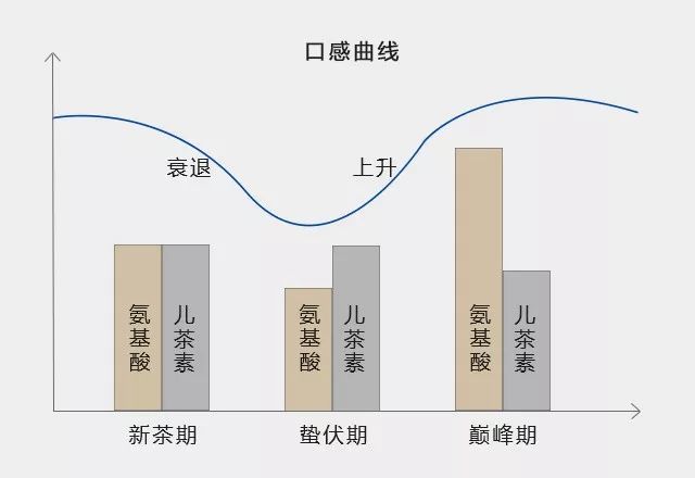 普洱茶转化两个路径