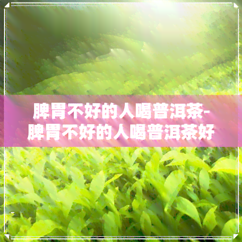 脾胃差能喝普洱茶吗