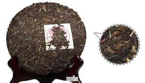 '大益普洱茶最贵的是哪款：价格与品质解析'