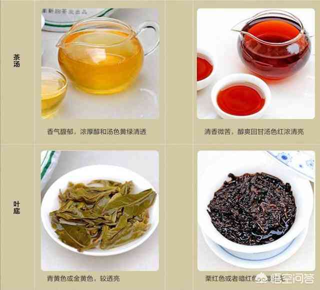 普洱茶品种之争：普洱生茶与熟茶的区别解析