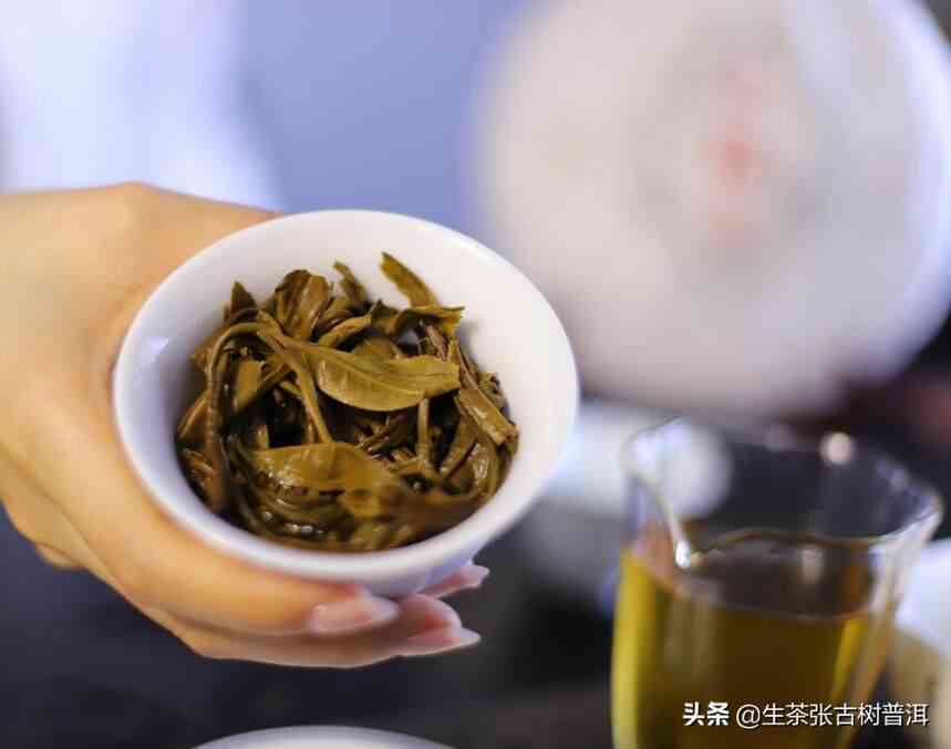 糯香普洱茶不耐泡吗怎么办呀？为什么糯香普洱茶便宜？