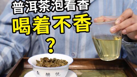 糯香普洱茶不耐泡吗