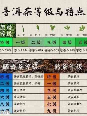 全面了解新普洱茶的制作工艺、品鉴方法和收藏价值：新普洱茶典