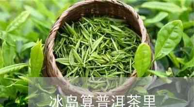 冰岛地界的茶树品种与普洱茶的关系：探究冰岛茶的特点及其与普洱茶的异同