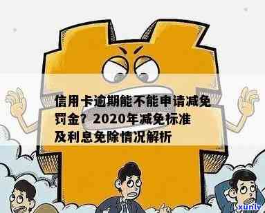 逾期4天后办理信用卡的可行性及相关政策解析