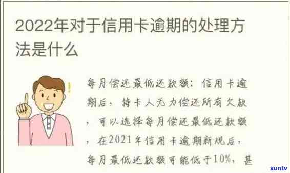 逾期4天后办理信用卡的可行性及相关政策解析