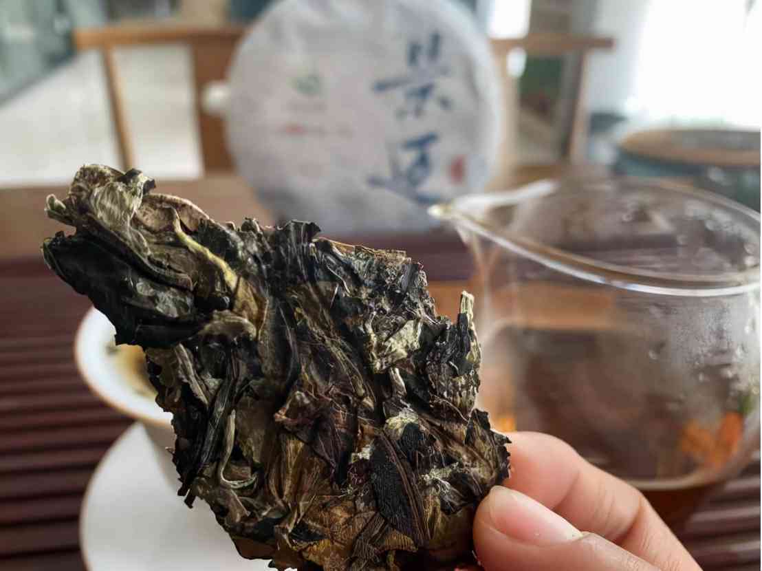 如何在下雨天让普洱茶更易泡？