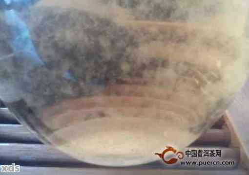 普洱茶煮棉絮怎么煮的：好喝、方法与出现棉絮原因解析