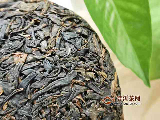 老树沱茶普洱茶生茶