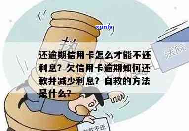 欠信用卡逾期会怎样：减免利息真伪辨识，自救方法探讨