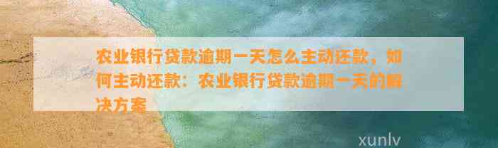 农业贷款逾期还款一天：解决方法与影响分析