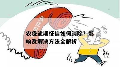 农户贷款逾期解决方案：如何处理、影响与应对建议