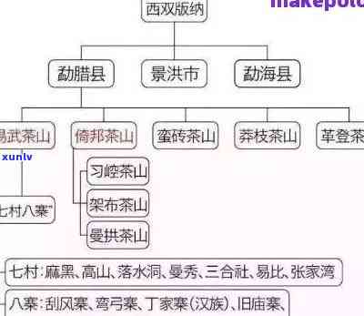 齐茶叶：品种、产地、冲泡方法、功效与购买指南，一文全面了解