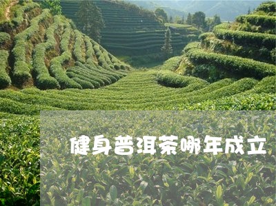 健身普洱茶厂：厂家排名、电话及有哪些-百度贴吧