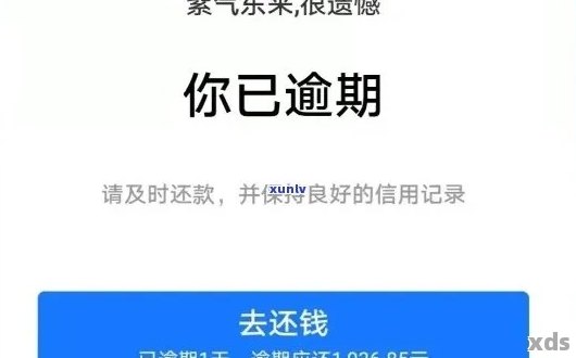 关于借呗逾期还款后显示未还清的问题：解答、原因及解决办法