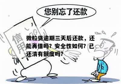 微粒贷逾期还款：是否要求还清全部欠款？安全性如何保障？