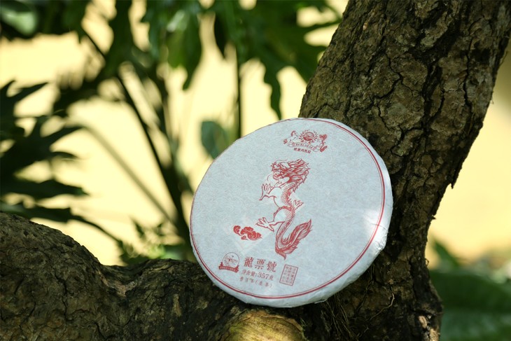 普洱茶龙马同庆：古树茶香，岁月静好，品味经典，传承匠心