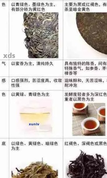 普洱茶的制作配方、种类、功效与泡法全面解析