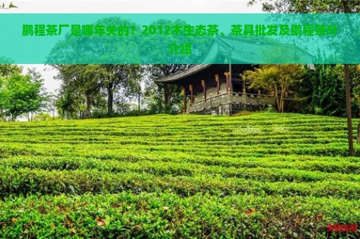 鹏程茶厂简体云2012年关停，其普洱茶及木生态茶引发关注