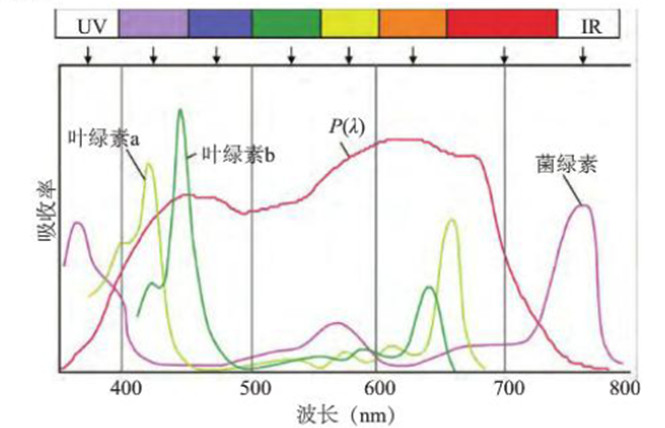 新和田玉紫外线可见光谱分析：三颗星评级及其科学意义