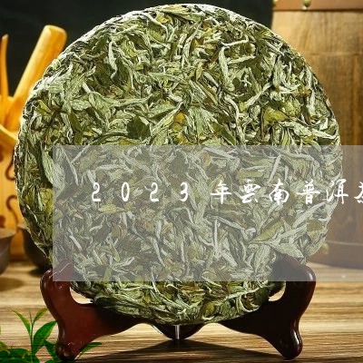 云河普洱冬茶：2023年价格分析与品鉴，带你领略独特的冬茶香