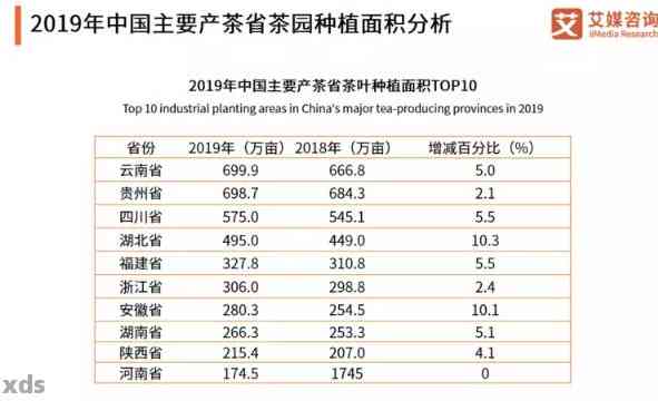 云河普洱冬茶：2023年价格分析与品鉴，带你领略独特的冬茶香